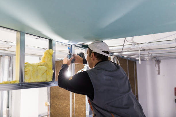 Best Spray Foam Insulation in Malta, IL
